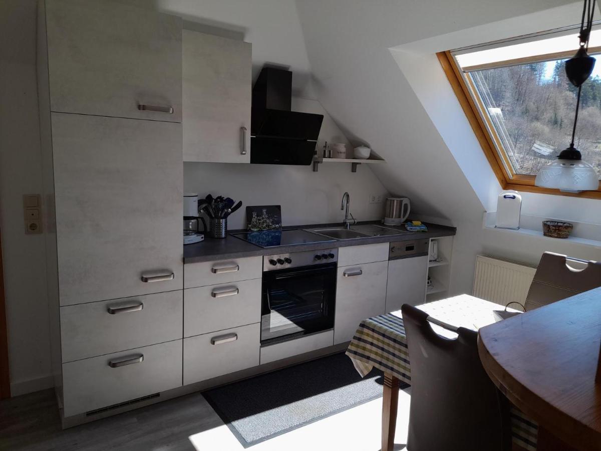 Haus Elsholz Willingen Daire Willingen  Dış mekan fotoğraf