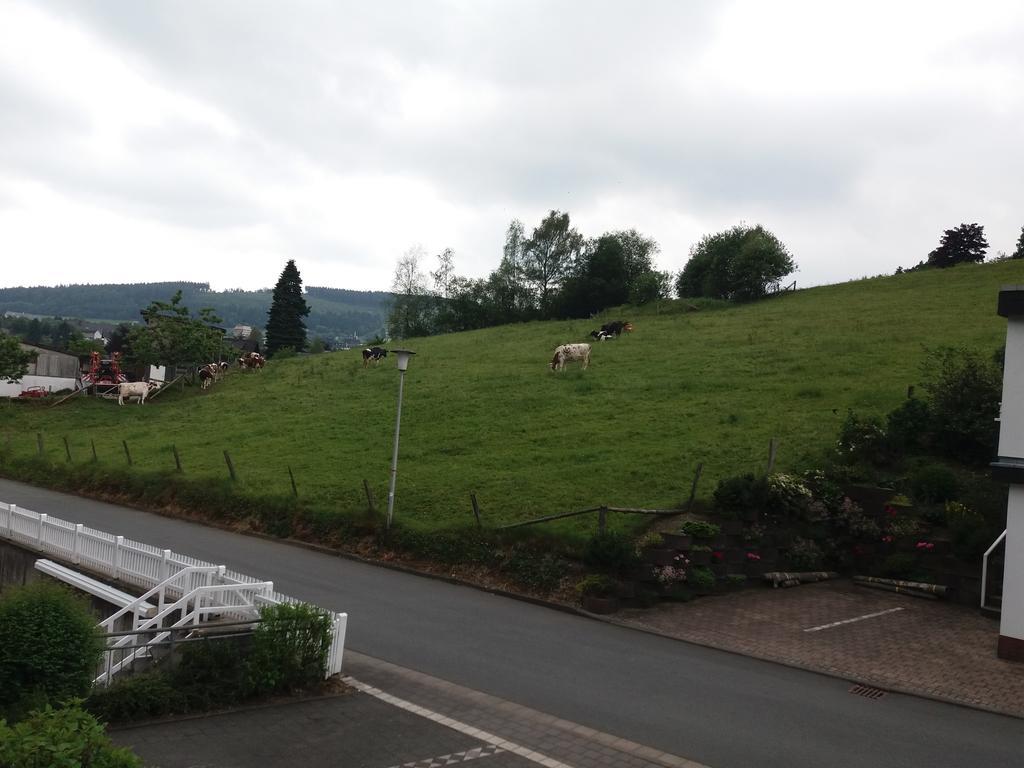 Haus Elsholz Willingen Daire Willingen  Dış mekan fotoğraf