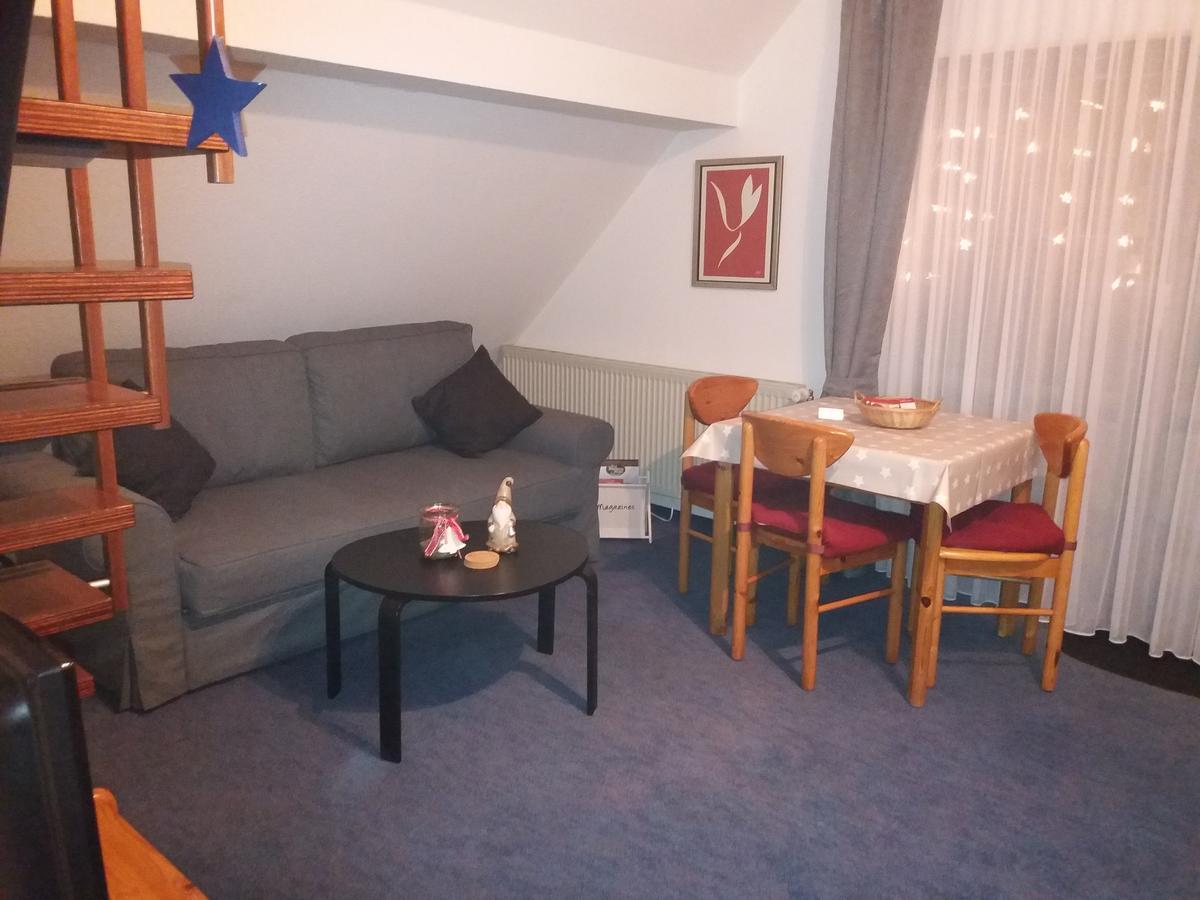 Haus Elsholz Willingen Daire Willingen  Dış mekan fotoğraf